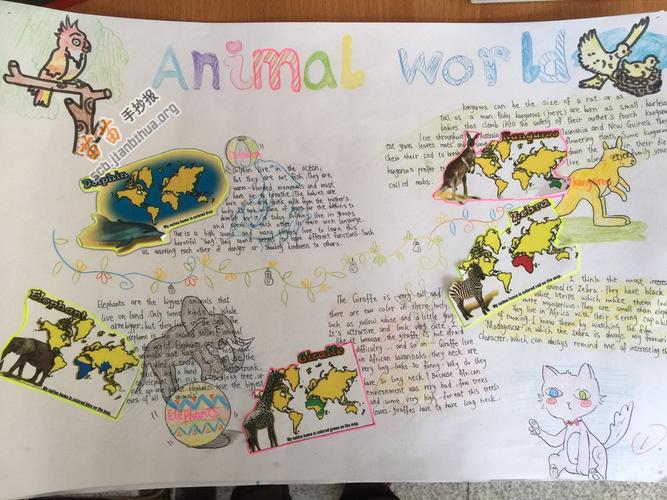 animal world动物世界英语手抄报图片大全内容 - 疫情手抄报英语模板