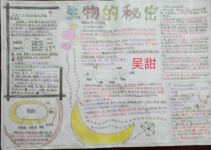 其它 张坊中学八年级生物知识手抄报竞赛 写美篇为了营造学生浓厚的