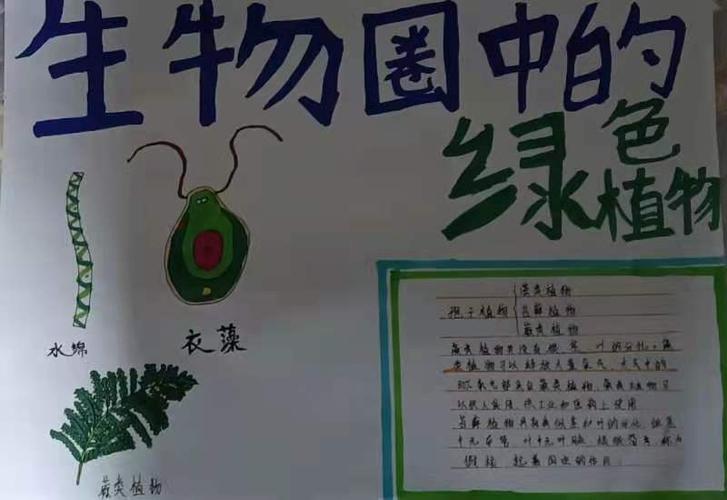科尔沁区实验初中七年三班生物手抄报主题内容《生物圈中的绿色植物》