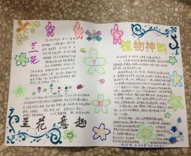手抄报简单又漂亮关于的花的手抄报简单又好看莲花的成长过程图片手抄