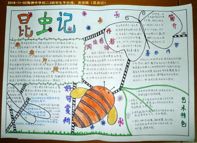 吴佳陈《昆虫记》简单漂亮的昆虫记手抄报图片