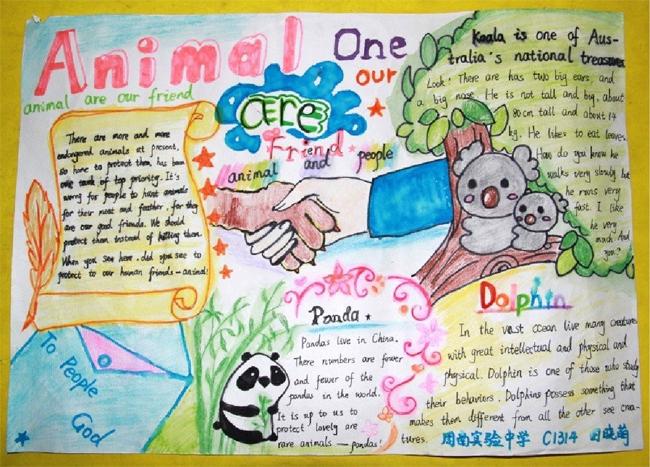 关爱动物保护环境初一年级英语主题手抄报特别报道