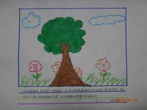 画夏天画树的手抄报 树的手抄报-蒲城教育文学网