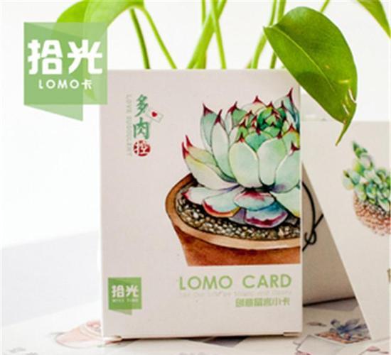 拾光lomo卡片 多肉控 多肉植物 28张盒装-贺卡