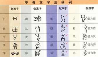 汉字的手抄报-蒲城教育文学网关于甲骨文关于汉字的手抄报 汉字的手