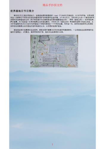 世界湿地日手抄报内容.pdf 1页
