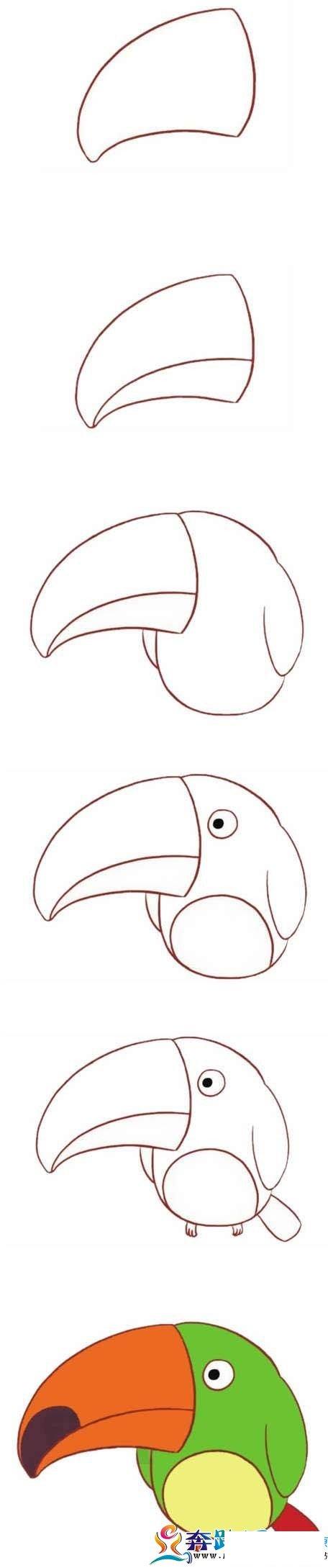 小鹦鹉简笔画卡通图片