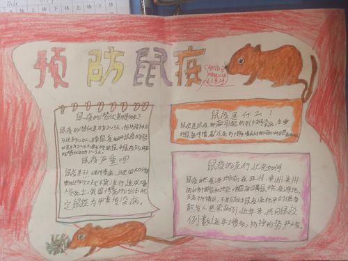 学生用手抄报的形式表现出自己对灭鼠防疫知识的理解.