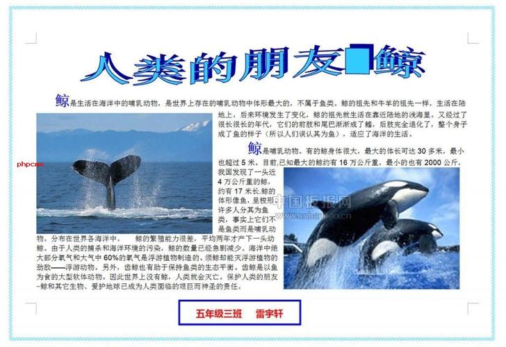 文章内容  保护人类的朋友鲸鱼手抄报 人类不保护环境造成的灾害有