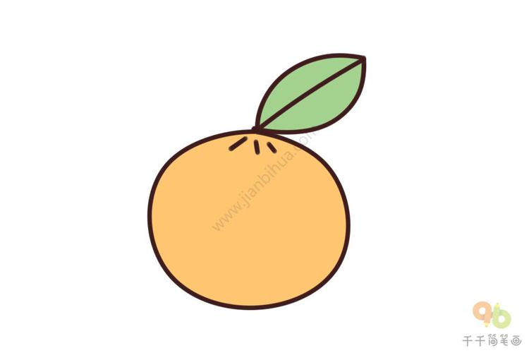 儿童简笔画彩色水果橙子
