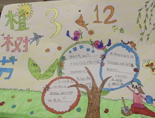 小学五年级关于植树节的手抄报图片五年级数学小报 数学手抄报小学五