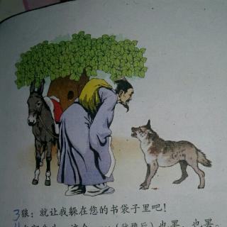 东郭先生和狼的竖式手抄报 有关狼的手抄报
