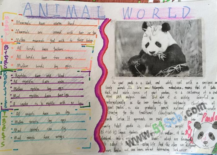 animalworld动物世界英语手抄报图片资料