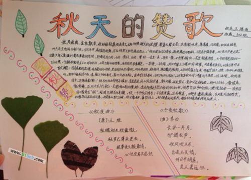 关于红叶的手抄报图片枫叶小报模板关于枫树的手抄报内容画枫叶的