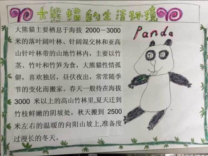 熊猫手抄报图片大全关于熊猫的手抄报图片熊猫的手抄报5亲亲