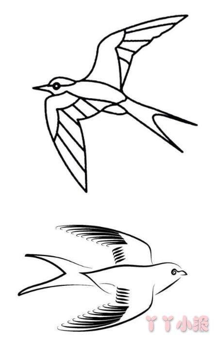 燕子的画 简单很简单图片