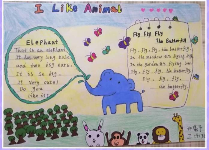 动物人民路小学六8班保护动物英语海报手抄报展四上英语简单手抄报 七