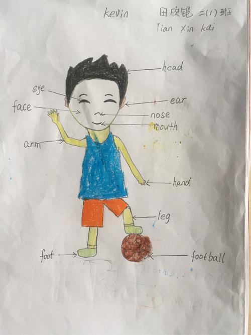 小学三年级英语关于身体部位的手抄报小学三年级手抄报