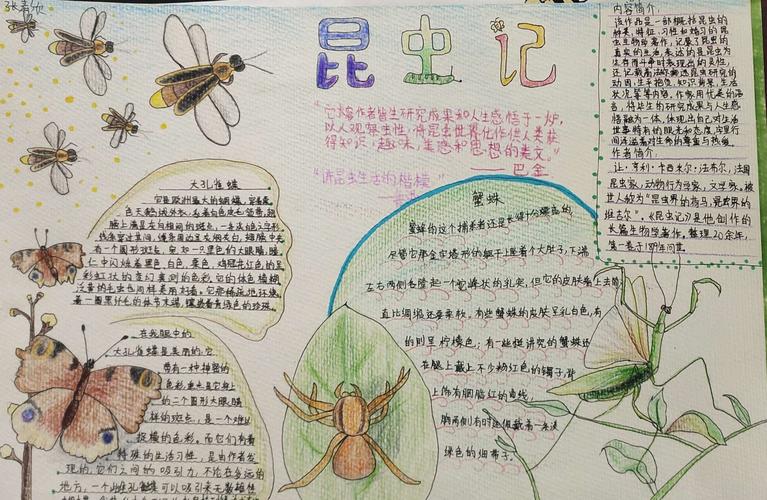 《昆虫记》手抄报展示 写美篇  《昆虫记》是优秀的科普著作也是公认