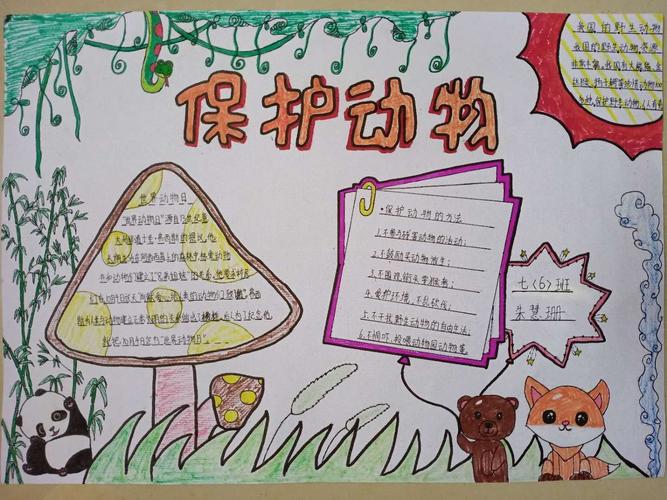 杨村中学线上美术课堂第四课 关爱野生动物手抄报设计