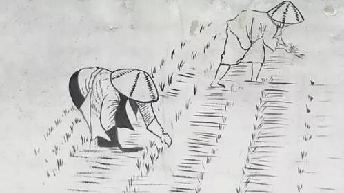 种菜过程简笔画农民伯伯劳作并正在擦汗的简笔画一个人在种田的简笔画