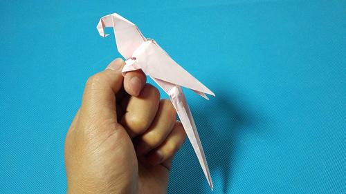 折纸王子教你折纸鹦鹉 美丽好看简单易学 讲解详细 演示清楚