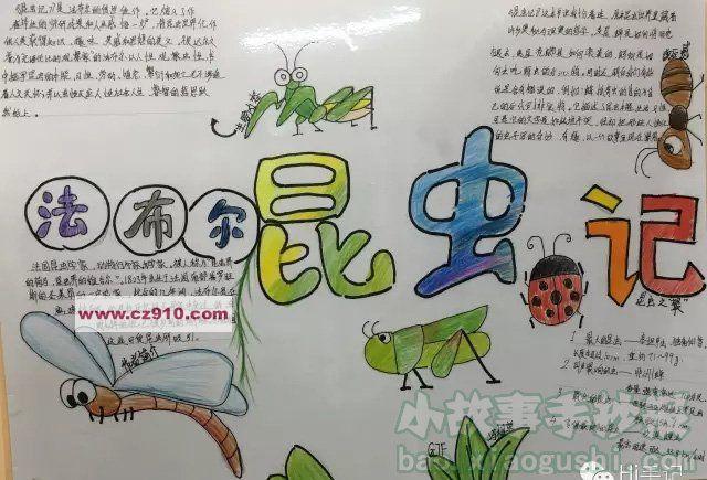 抄报小学生a3a48k昆虫记读书卡阅读语文手工线描涂色手抄报小报模板