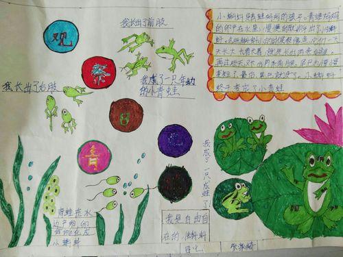 益都师范附小四年级七班观察主题手抄报展示四年级观察物体的手抄报