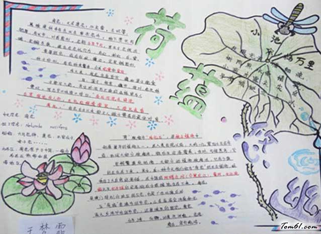 美丽的夏天手抄报版面设计图手抄报大全手工制作大全中国儿童资源