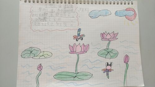 美达菲小学部一年一班同学制作古诗《小池》手抄报展现孩子们眼中的