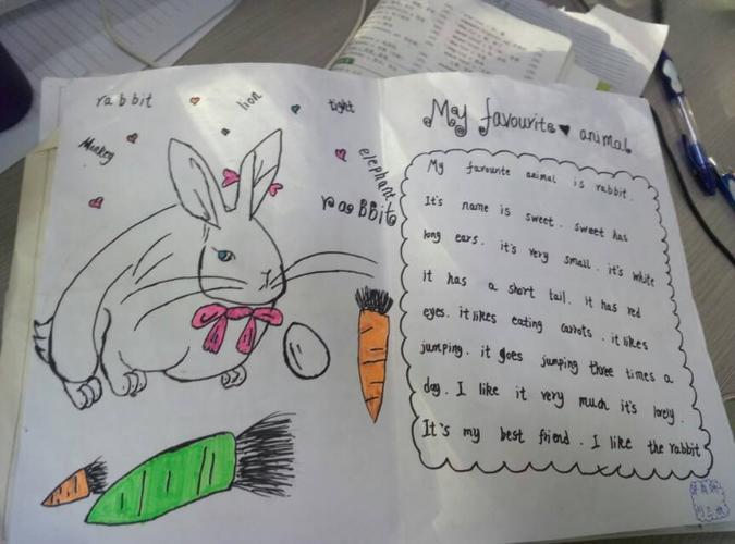 画小兔子简单手抄报关于兔子的手抄报