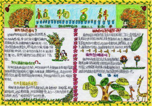 手抄报植物园手抄报设计|植物园手抄报图片植物园手抄报叶子的自然
