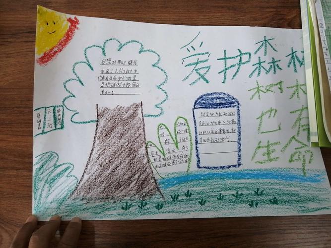 曲阳桥小学六年级二班绿色森林手抄报