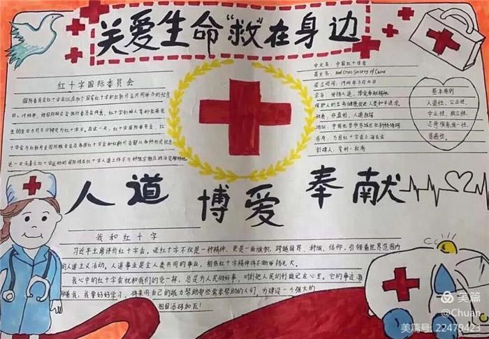 世界红十字日手抄报内容