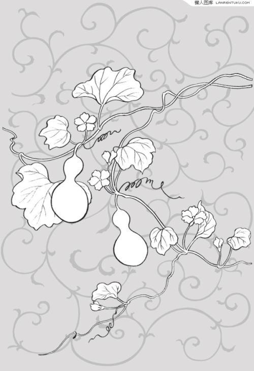 葫芦花的简笔画图片
