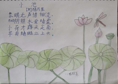 制作古诗《小池》手抄报展现孩子们眼中的美丽诗画