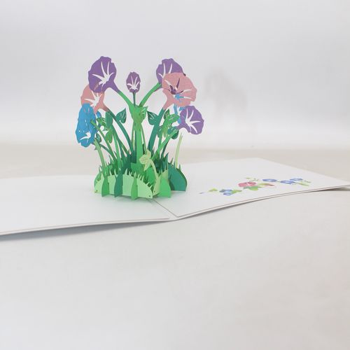 喇叭花牵牛花植物创意3d立体贺卡手工拼装花朵生日节日祝福语定制