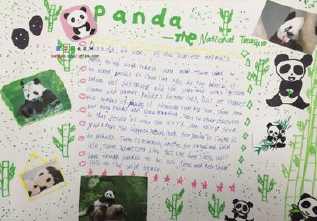 拯救熊猫的英语手抄报 春天的英语手抄报