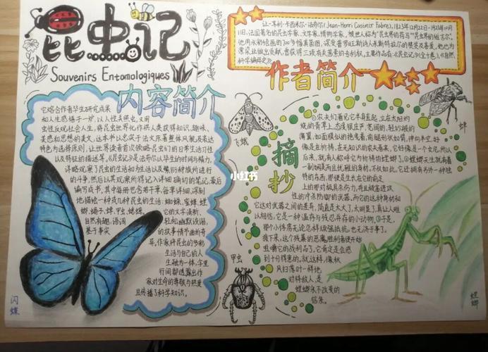 五年级怎么做昆虫记的手抄报三年级下册昆虫记手抄报要怎么做 -爱