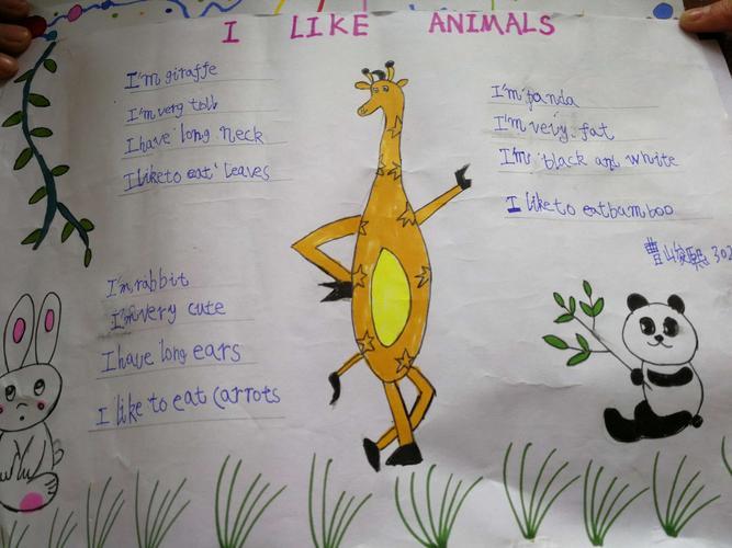 野生动物保护动物爱护家园海南昌茂花园学校小学部三年级英语手抄报展