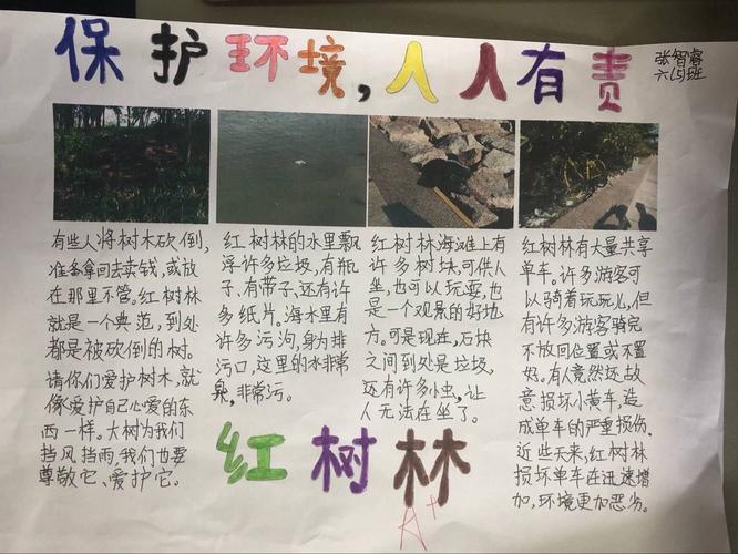 张智睿同学做了一份关于红树林生态环境的手抄报.