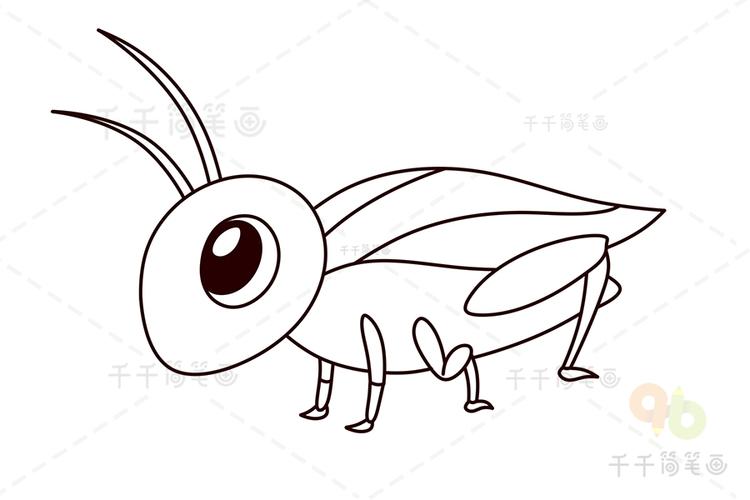画蟋蟀简笔画最可爱图片