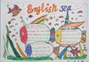 四年级英文手抄报鱼儿插图精美的英语主题手抄报-保护动物精美的英语