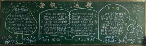 丹顶鹤书法 本期黑板报由青川县关庄小学各班级留守儿童主办 青川
