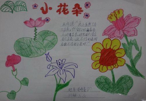 画各种各样的花的手抄报花的手抄报