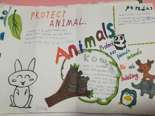 人民路小学六1班保护动物英语海报手抄报展