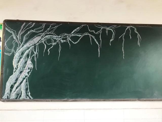 黑板报粉笔画黑板上有一棵紫藤花树