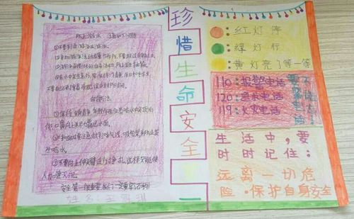 张庄小学六年级安全手抄报