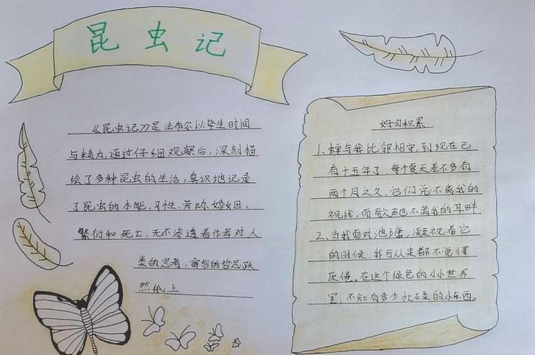 昆虫记手抄报八年级昆虫记手抄报八年级简单