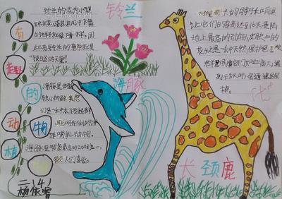 有趣的动物植物手抄报一等奖图片展中国板报-276kb